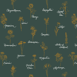 Seasons in Emerald