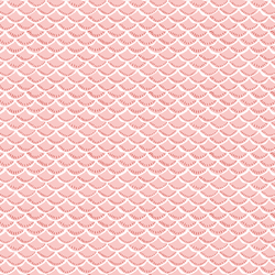 Scallop in Seashell