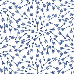 Arrows in Blue Jay on White
