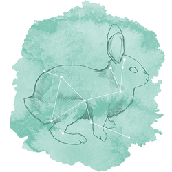 Lepus Panel in Succulent