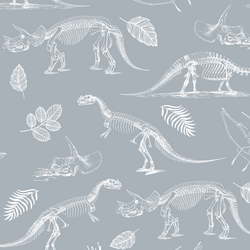Fossils in Cloud