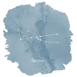 Taurus Sign Panel in Marine