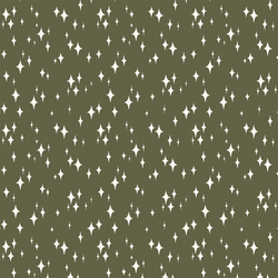Starry Night in Forest