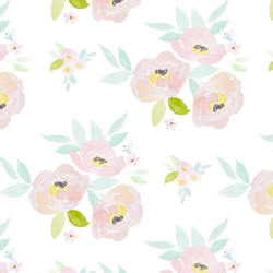 Blush Roses in Garden