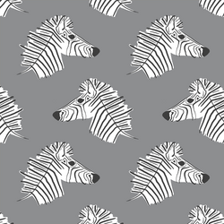 Burchell Zebra in Smoke