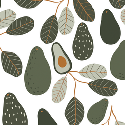 Avocados in Garden