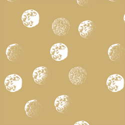 Moondance in Golden Canyon