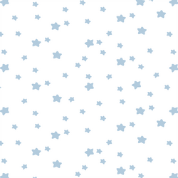 Star Light in Sky on White