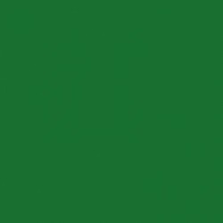 Solid in Dark Green