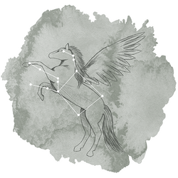 Pegasus Panel in Sage