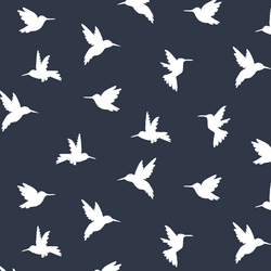 Hummingbird Silhouette in Eclipse