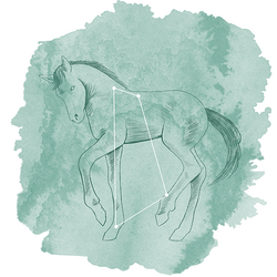 Equuleus Panel in Aspen