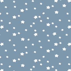 Star Light in Dusk