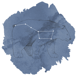 Ursa Major Panel in Midnight