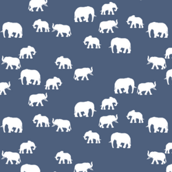Elephant Silhouette in Midnight