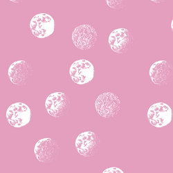 Moondance in Begonia