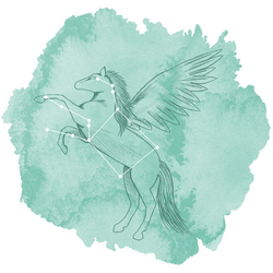 Pegasus Panel in Succulent