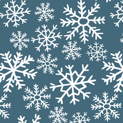 Dashing Through the Snow in Lake