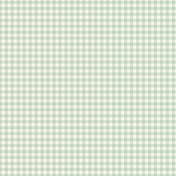 Gingham in Minty Green