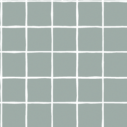 Windowpane in Eucalyptus