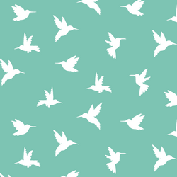 Hummingbird Silhouette in Succulent