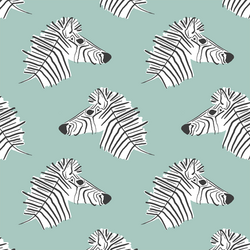 Burchell Zebra in Aspen