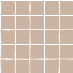 Windowpane in Sand