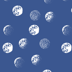 Moondance in Blue Jay