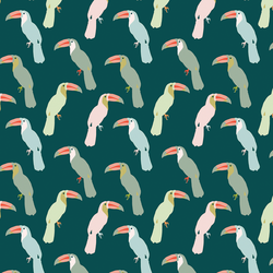 Little Toucans in Jungle