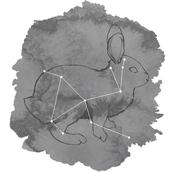 Lepus Panel in Charcoal