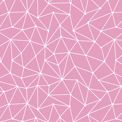 Astral Nights in Begonia