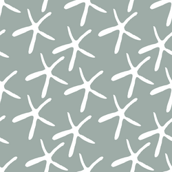 Starfish in Eucalyptus