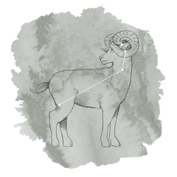 Aries Panel in Sage