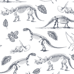 Fossils in Eclipse on White