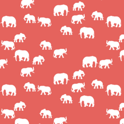 Elephant Silhouette in Salmon