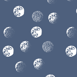 Moondance in Midnight