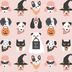 Halloween Pups in Cotton Candy
