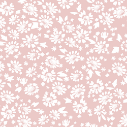 Daisies in Blush