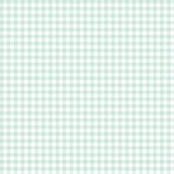 Little Gingham in Light Green