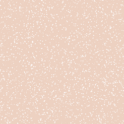 Stardust in Shell