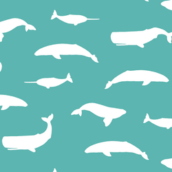 Whale Silhouette in Seafoam
