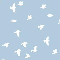 Flock Silhouette in Sky