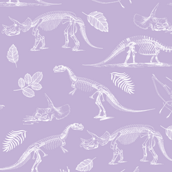 Fossils in Lilac