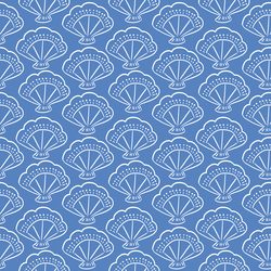 Shells in Nautical