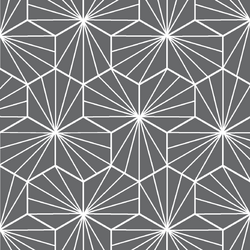 Radiate in Charcoal