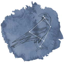 Corvus Panel in Midnight