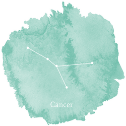 Cancer Sign Panel in Succulent