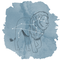 Leo Panel in Marine