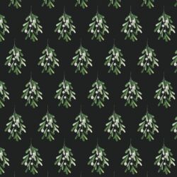 Mistletoe in Midnight