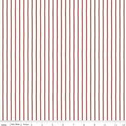 Stripe in Cloud